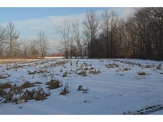 Property photo 4 - FARMLAND AUCTION, 60+/- Acres in 6 Tracts ranging from 4 to 20 acres & in combinations!